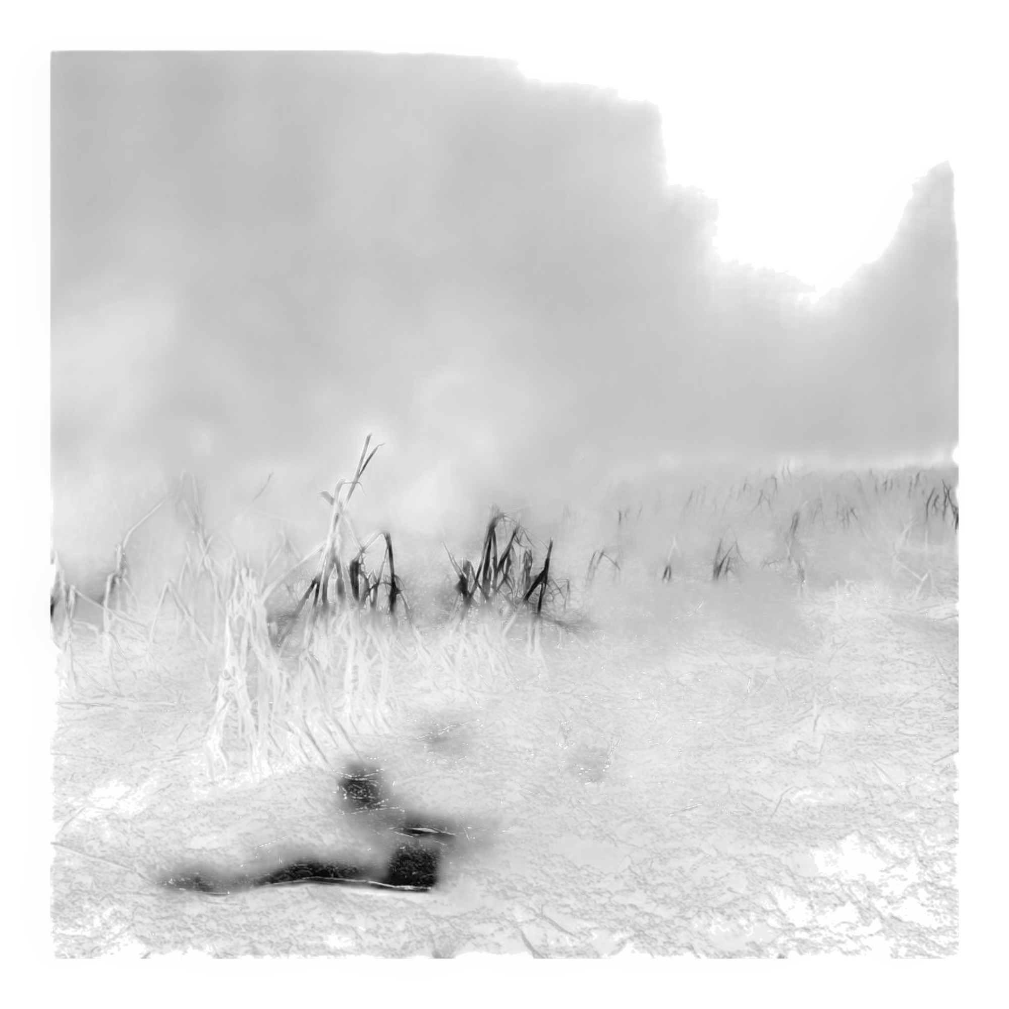 Tirage photographique numeroté par Antonin Ward