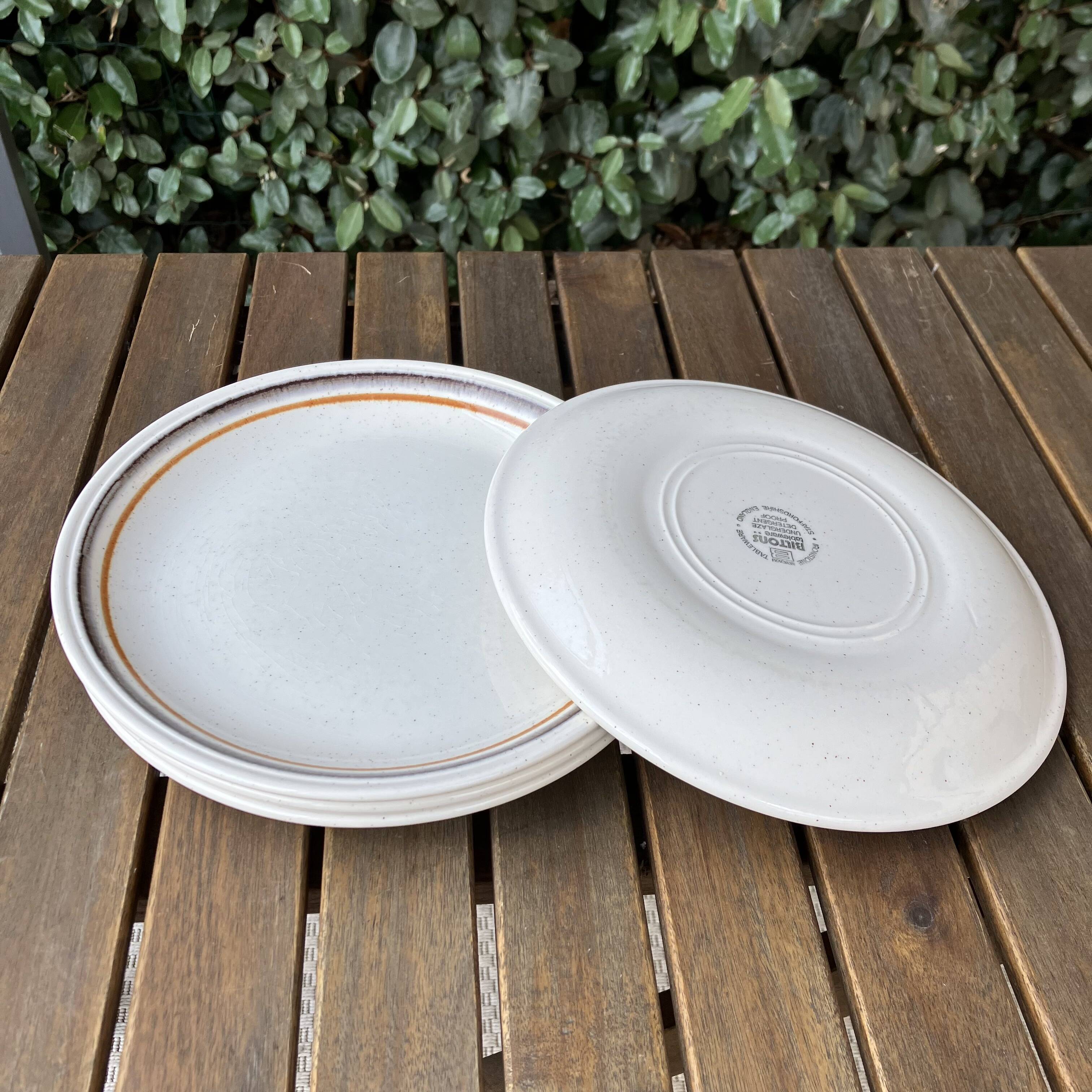 Biltons Dinner Plates