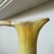 Handmade Ceramic Pitcher: 1970s LKC Pottery, Yellow Brown Glaze