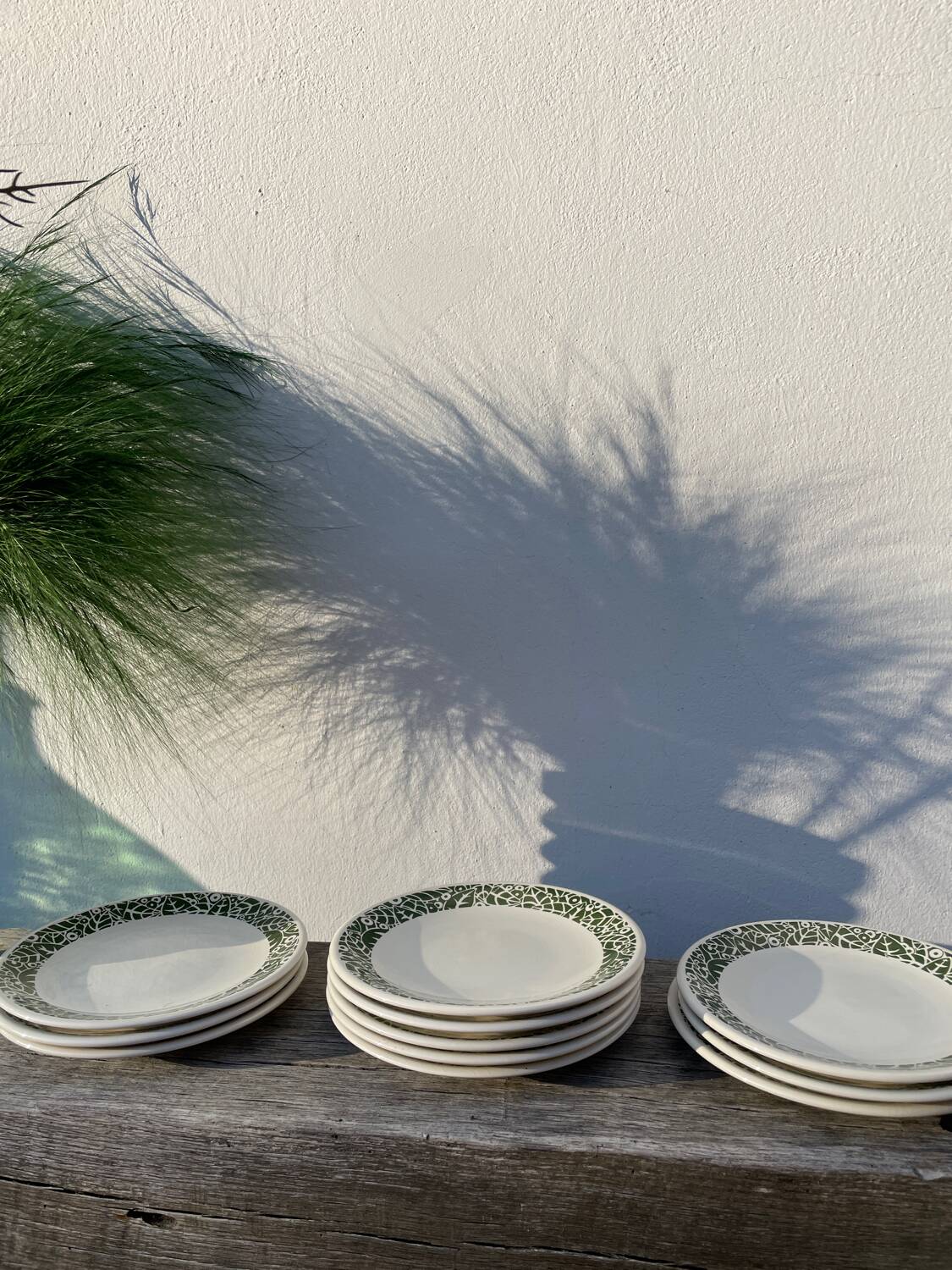 11 vintage Sado International dinner plates with plant motifs