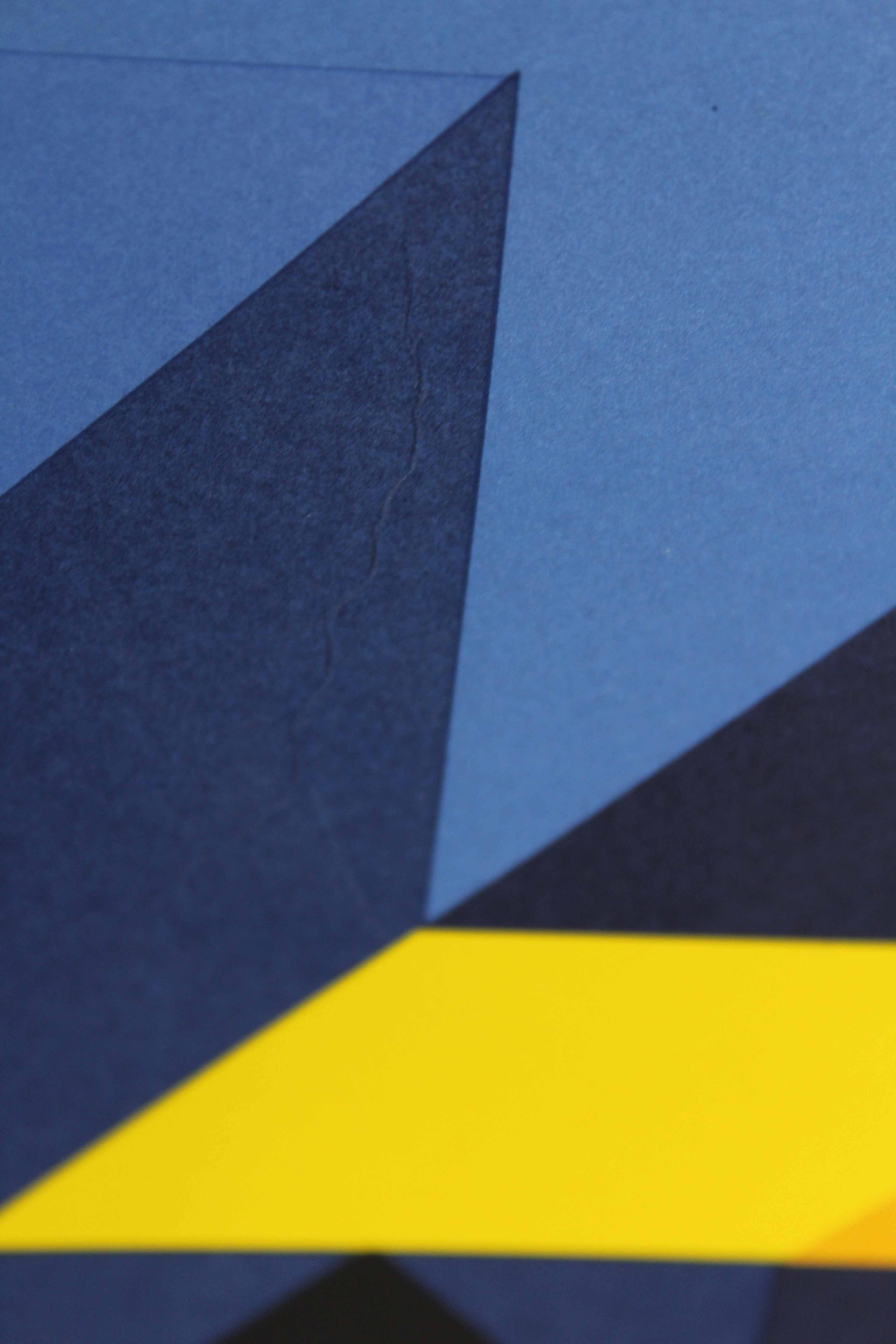 "tridimor" silkscreen by Victor Vasarely 1969