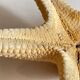 Vintage starfish