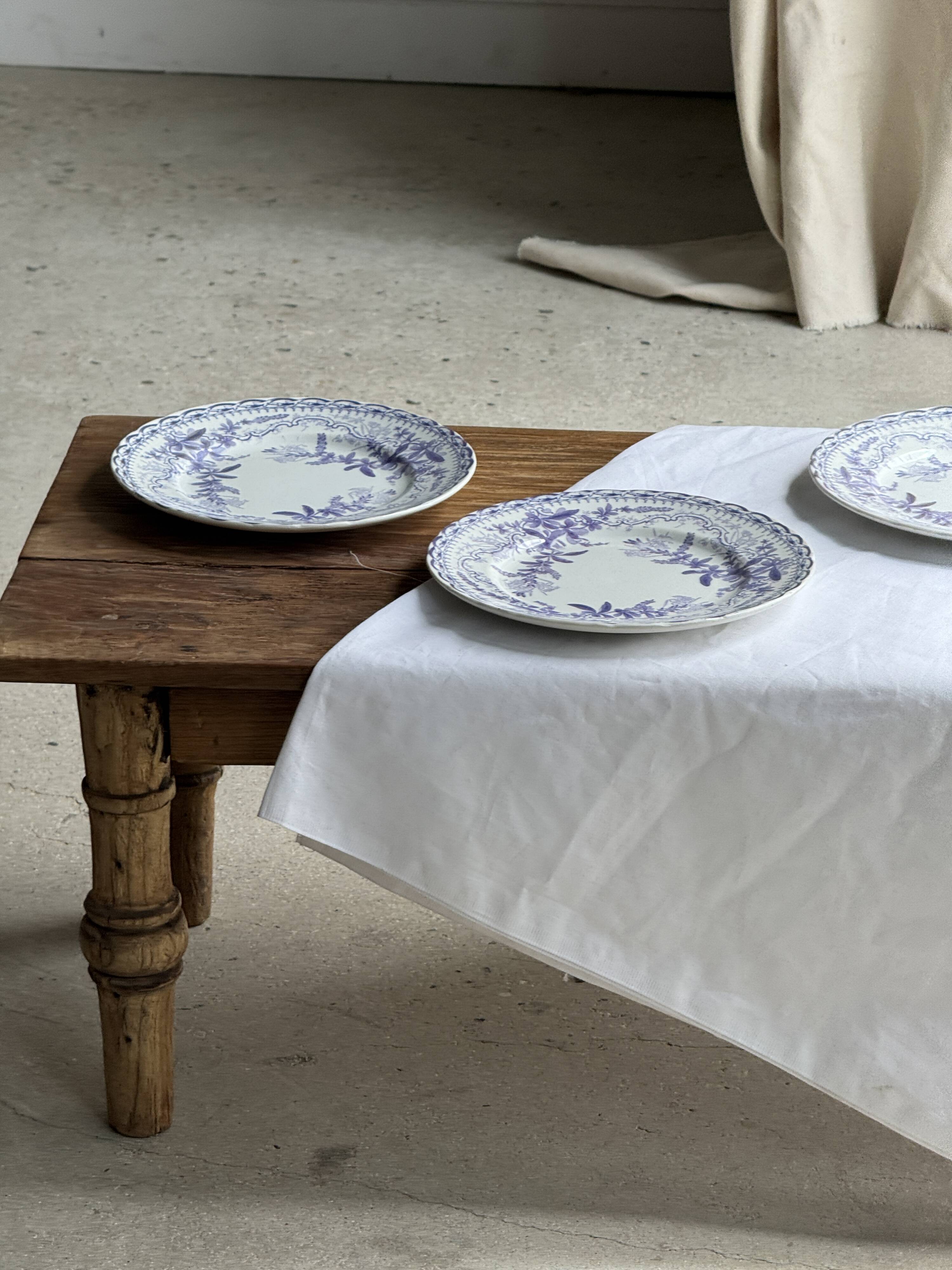 Set of 5 flat plates in earthenware with a lavender floral design H2 D22