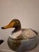 Old ceramic duck signed Caugant