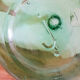 Demijohn green 10l
