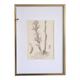 Botany under the Limodore frame