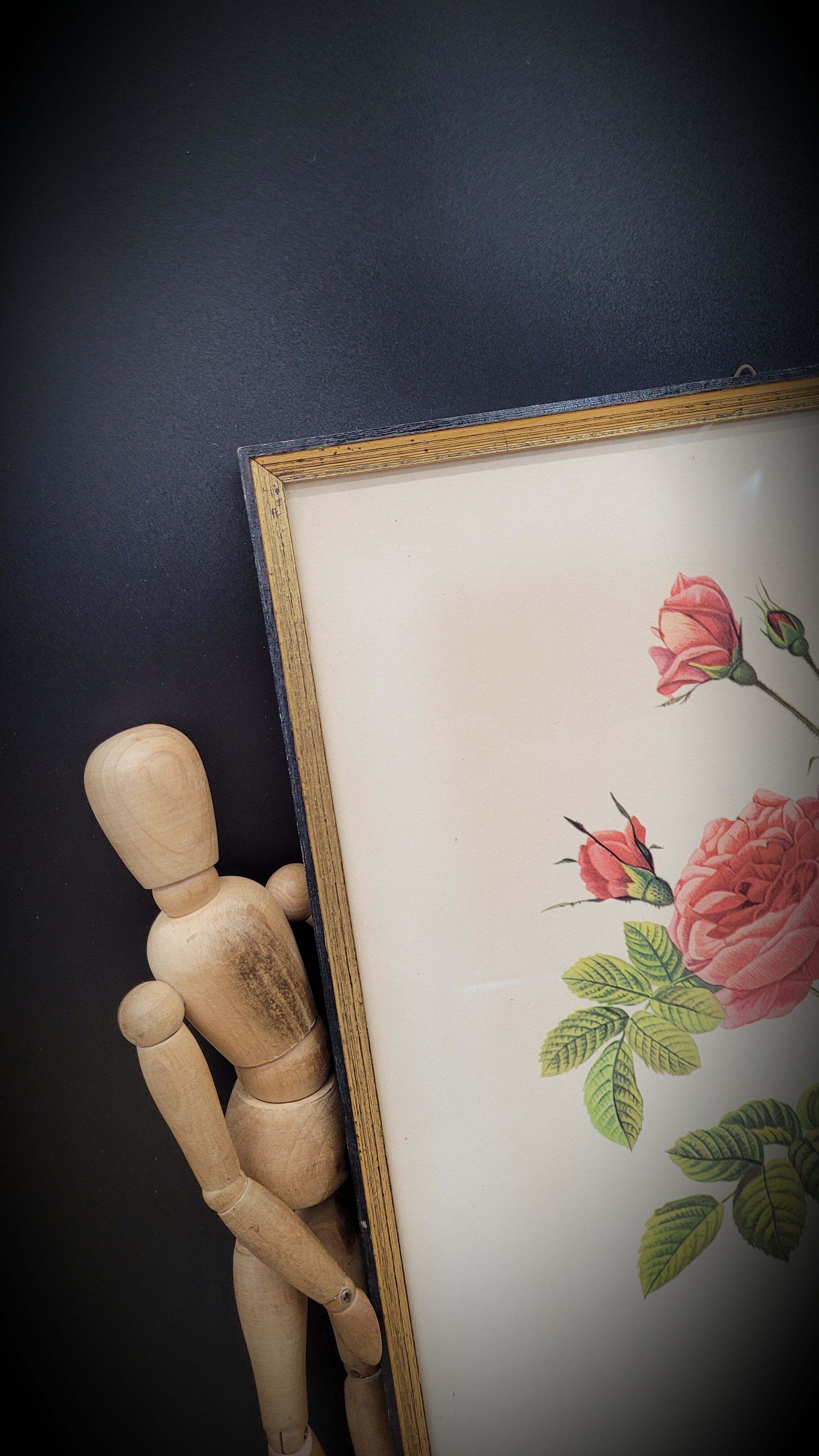 Lithograph Turbiné rose without thorns frame