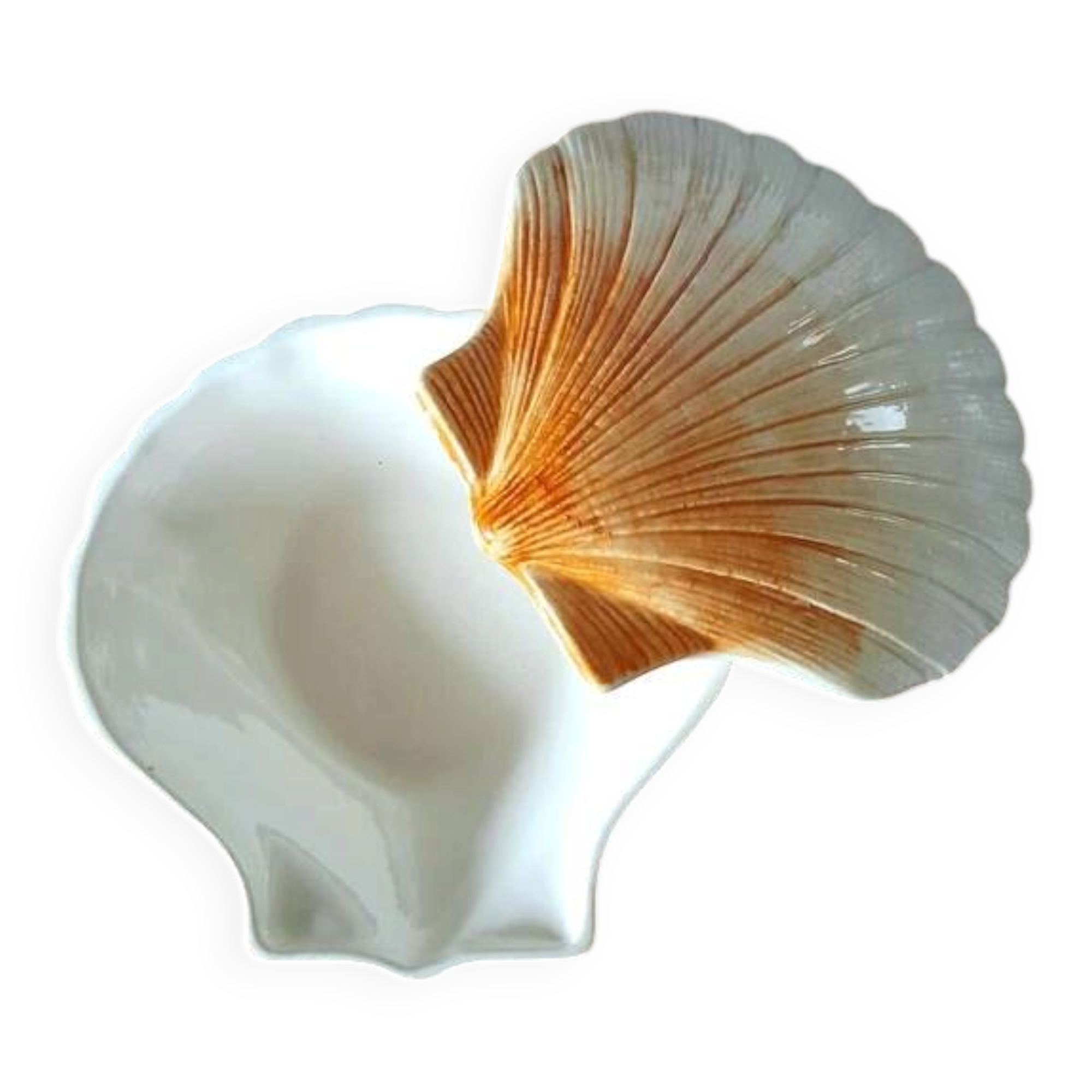 Ceramic shell 1960
