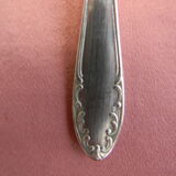 Set of 6 teaspoons in silver metal.