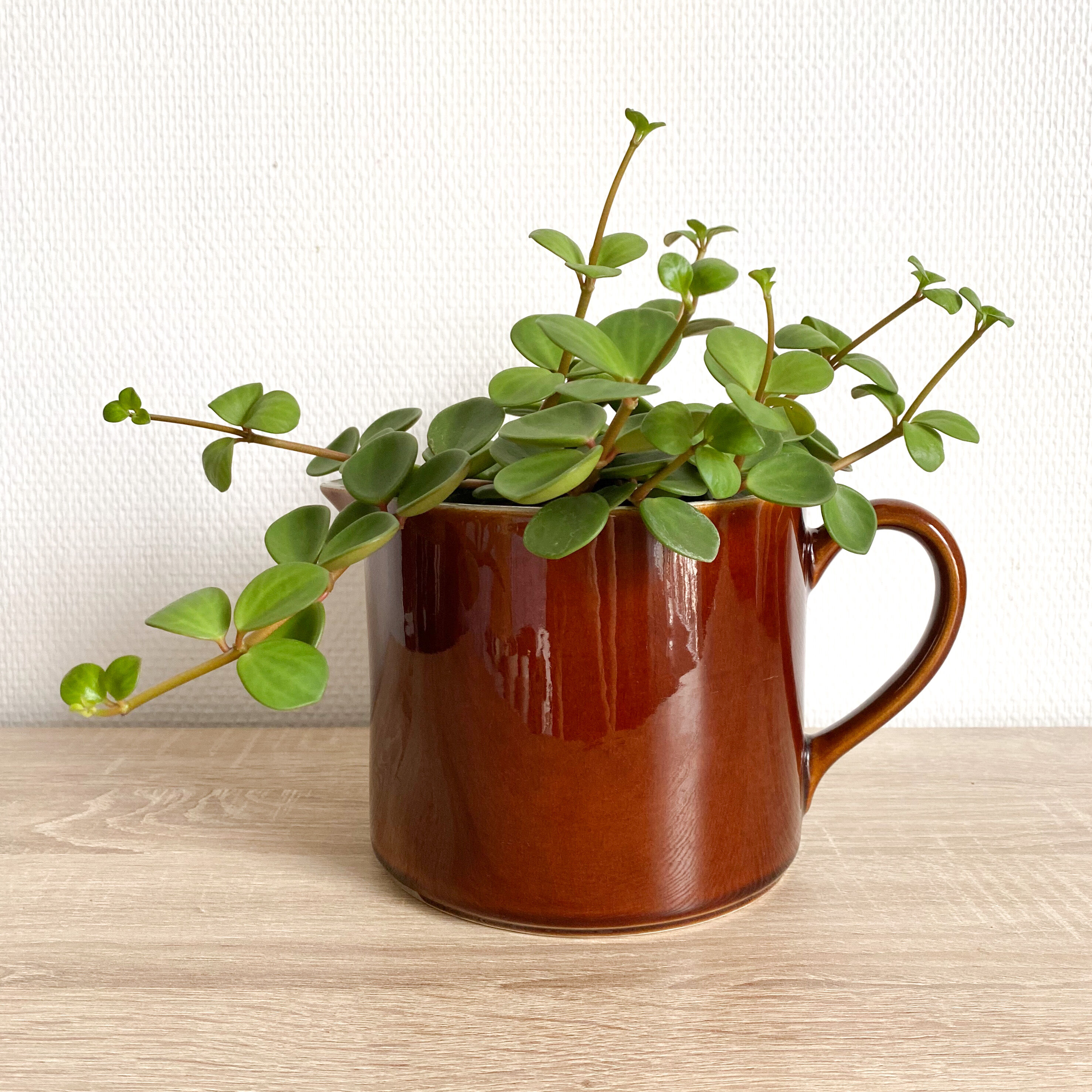 Vintage ceramic broc