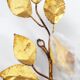 Antique Italian gilt rose wall lights by Hans Kogl