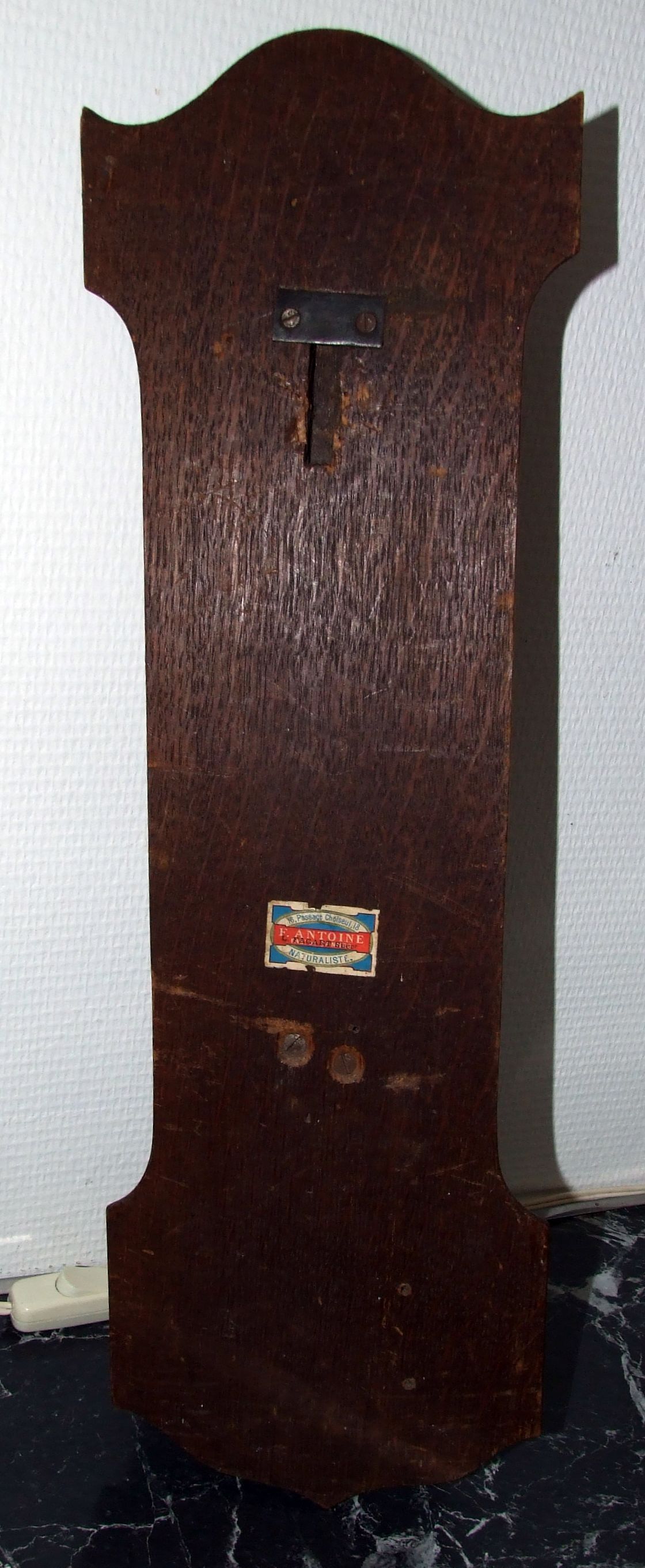 PIED D'HONNEUR 1902 - 1903 Taxidermy Running Hunting Crew