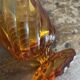 Baccarat amber glasses