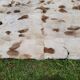 Tapis Fourrure