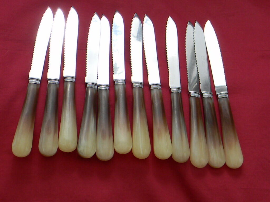 Set of 12 vintage meat knives stainless steel blade