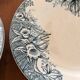 Narcisse Saint Amand ironstone deep plates