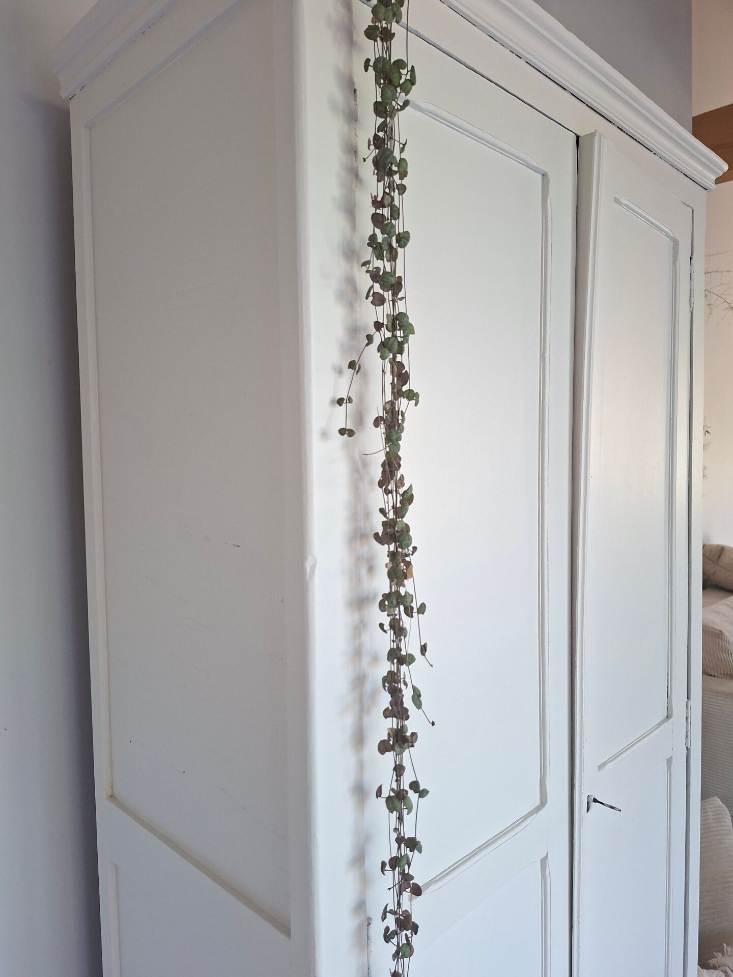 Authentique armoire parisienne 