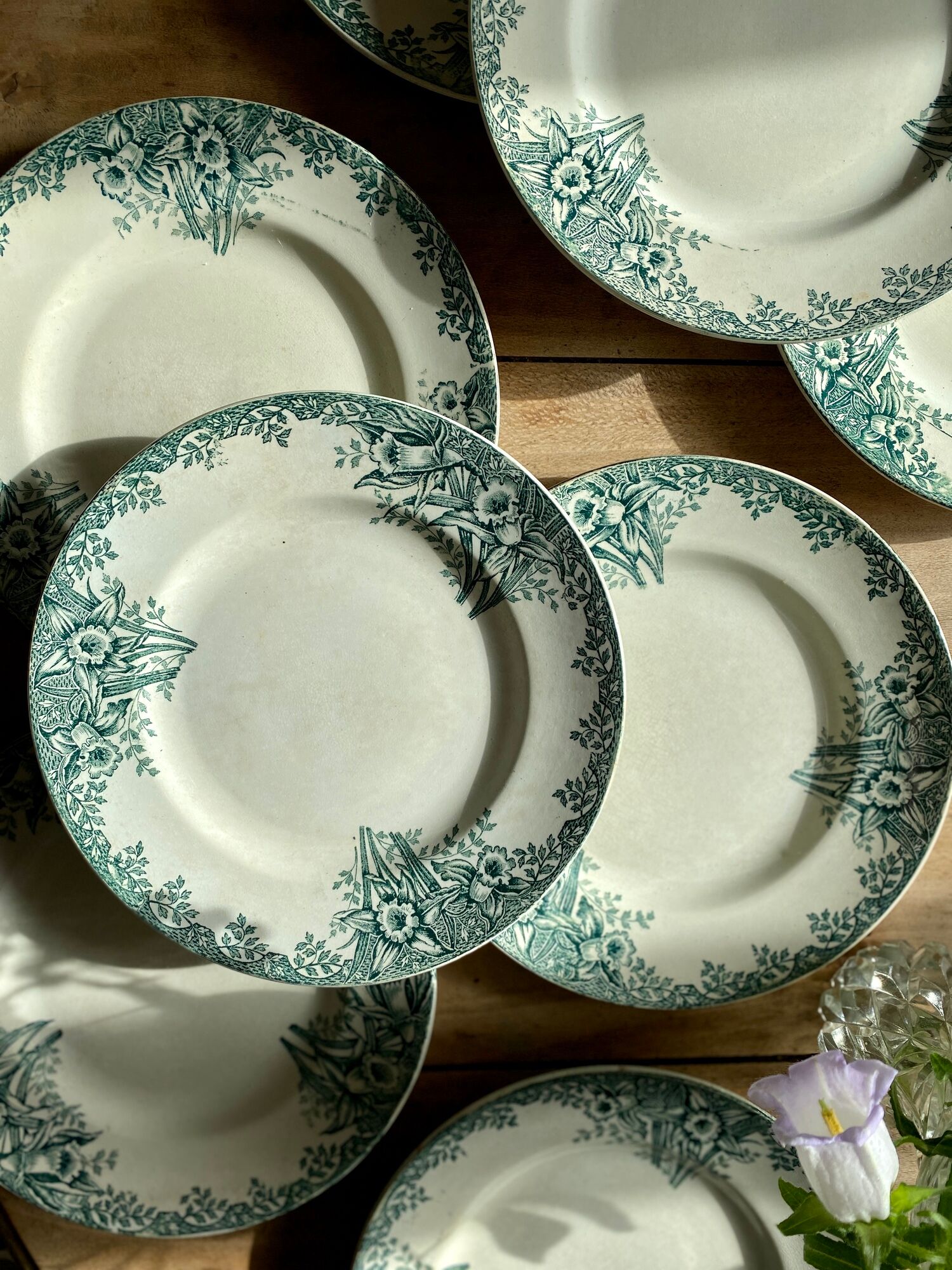 Set of 8 vintage flat plates in iron earth, model Narcisses de Saint Amand (LOT1)