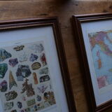 Original lithographs on gardens and ornamental trees