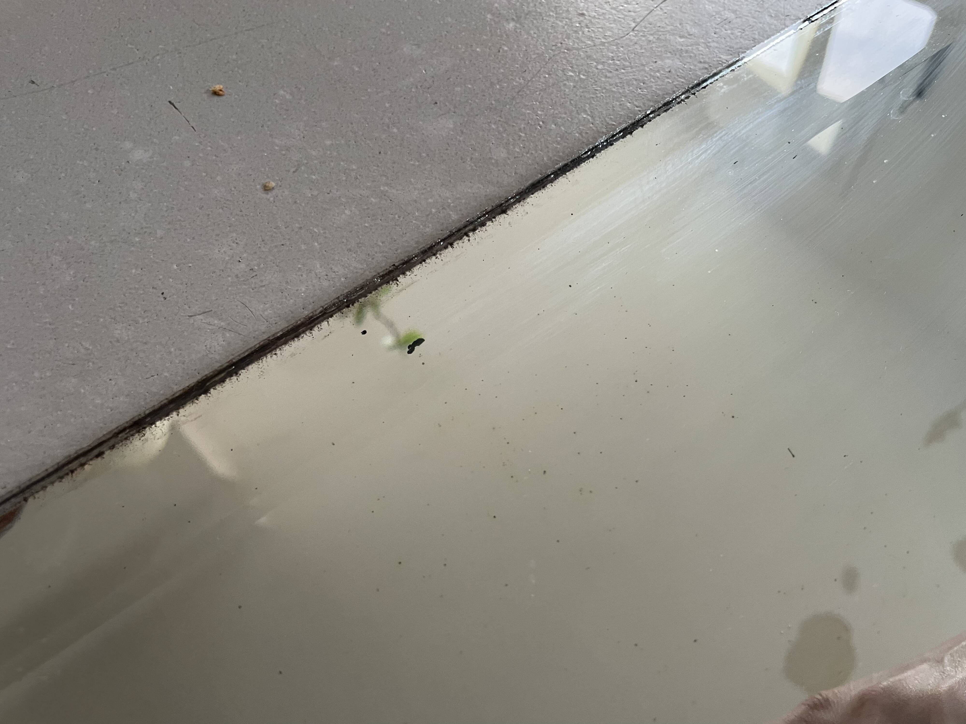 Old beveled mirror 33x120cm