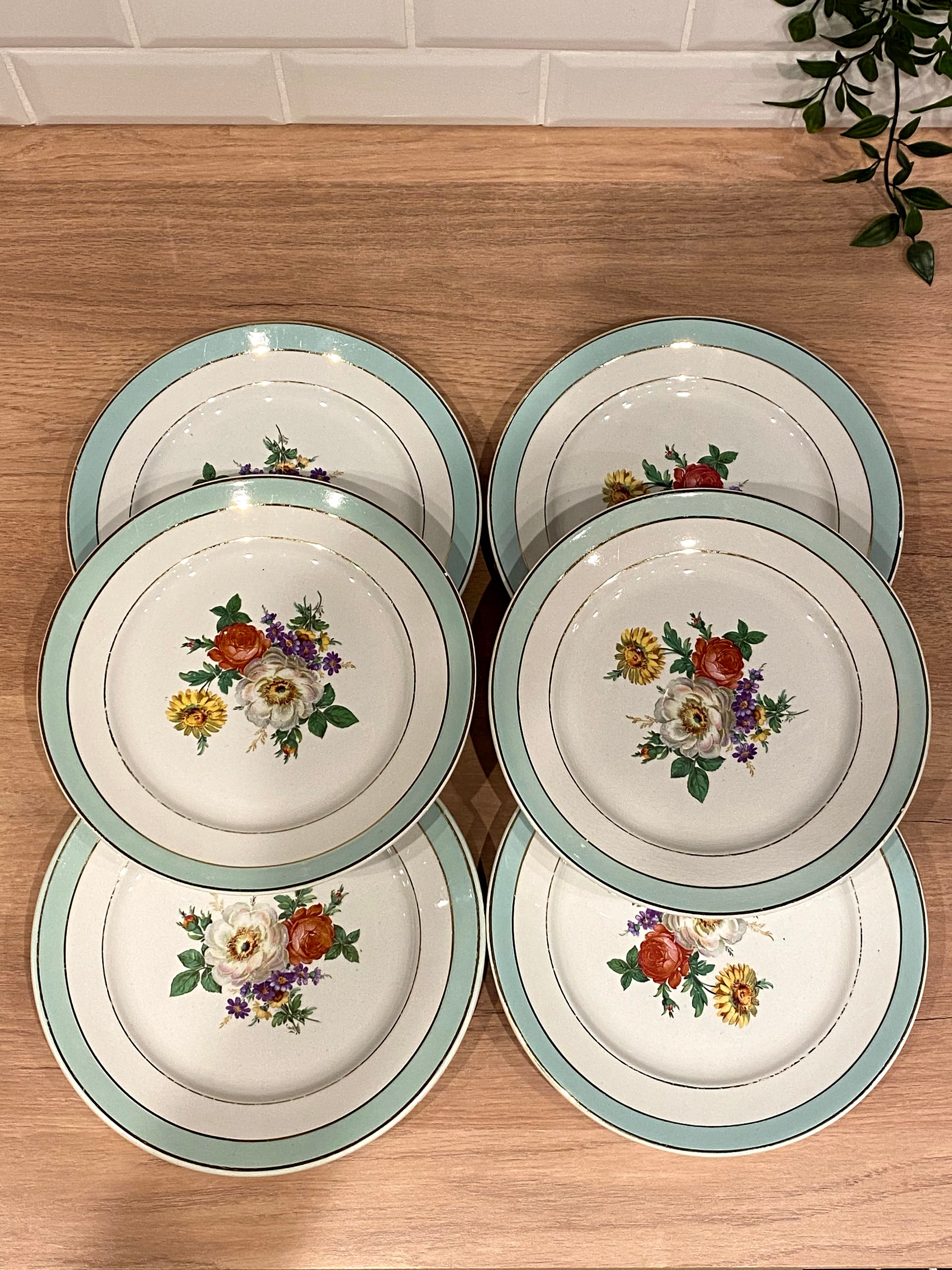 6 flat plates in half-porcelain Badonviller