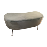 Bench in Velvet bean