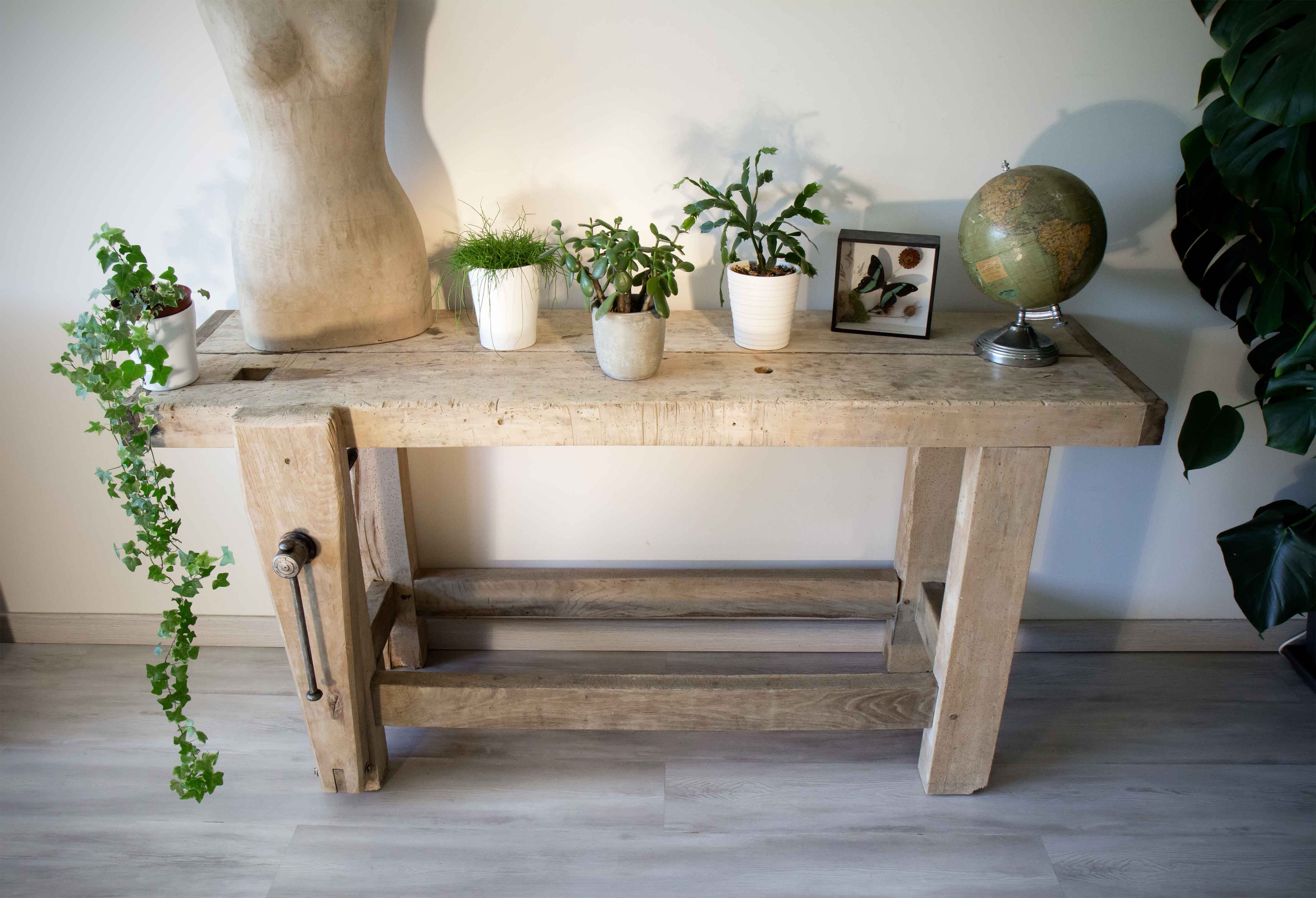 carpenter's workbench mi twentieth, solid clear beech