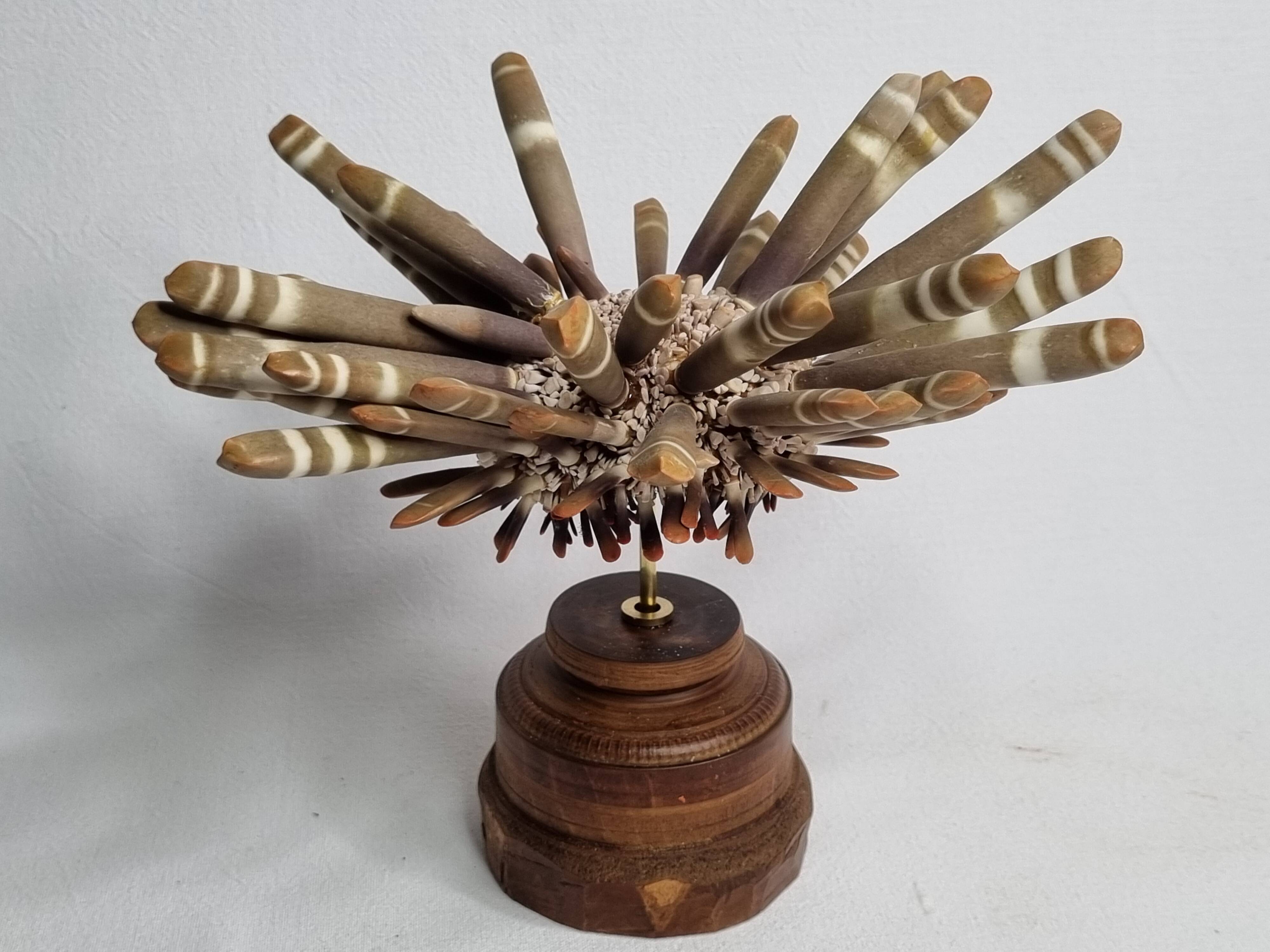 Antique sea urchin pencil on turned wooden base, 22 cm