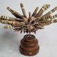Antique sea urchin pencil on turned wooden base, 22 cm