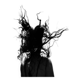 Digital art photo - "Crazy hair"