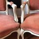 Pair of Louis XV style cabriolet armchairs