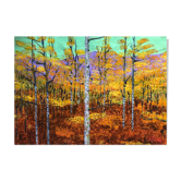 Forêt d'irati I dans les pyrénées