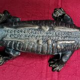 Pharmacist's corkscrew salamander