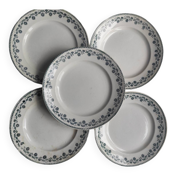 Moulin des Loups Hamage Plates