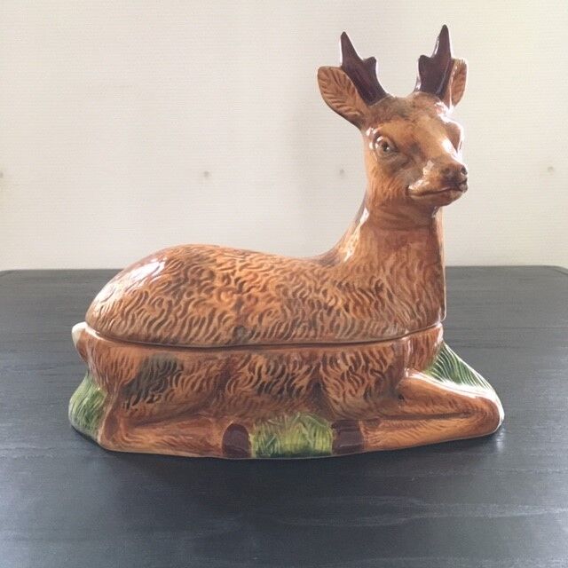 Empty pocket deer in dabbling