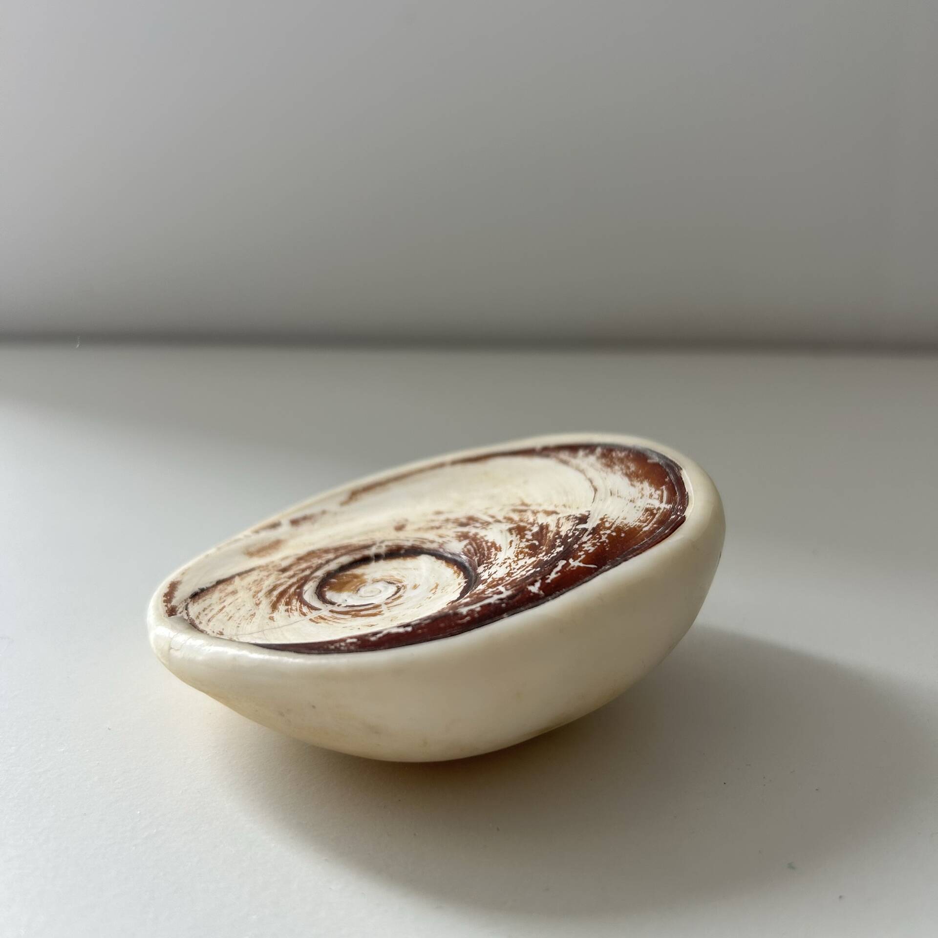 Fossilised shell