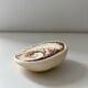 Fossilised shell