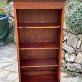 Pair of empire style mahogany bibuses