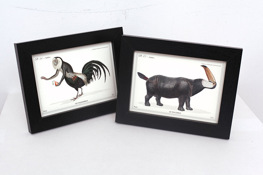 Set of 2 framed chimera lithograph animal engraving