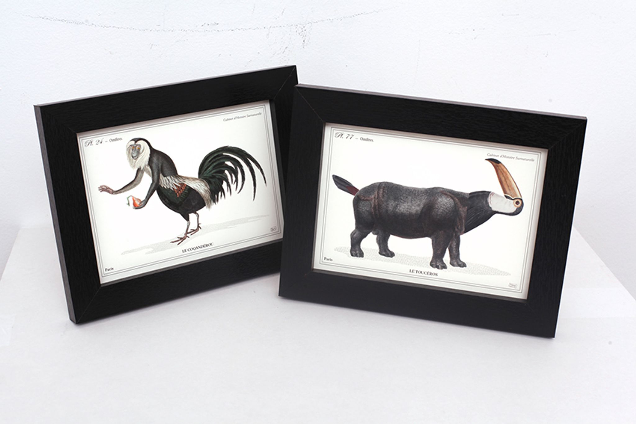 Lot de 2 chimère encadrées lithographie gravure animal