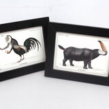 Set of 2 framed chimera lithograph animal engraving