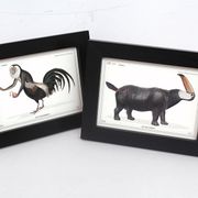 Lot de 2 chimère encadrées lithographie gravure animal
