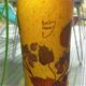 Daum Nancy's art nouveau-style vase with red brown with rosehip decoration