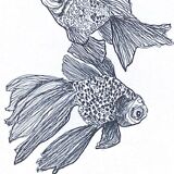 Illustration "Buller " A3
