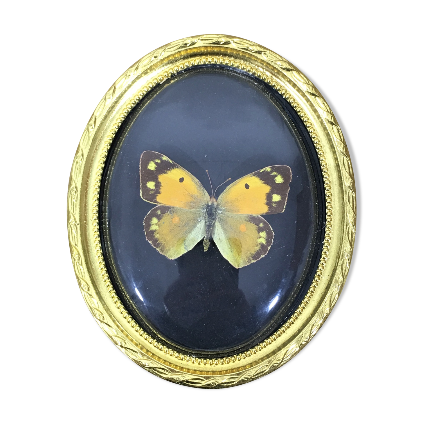 Frame Butterfly bomb