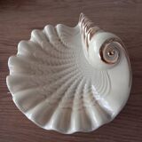 Shell tidy