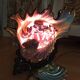 Lampe coquillage