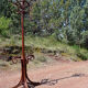 Coat rack Parrot Thonet bentwood 1930