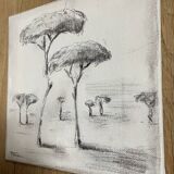Painting signed charcoal on canvas with wooden frame “provence umbrella pines”