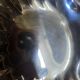 Silver-plated butter dish Christofle